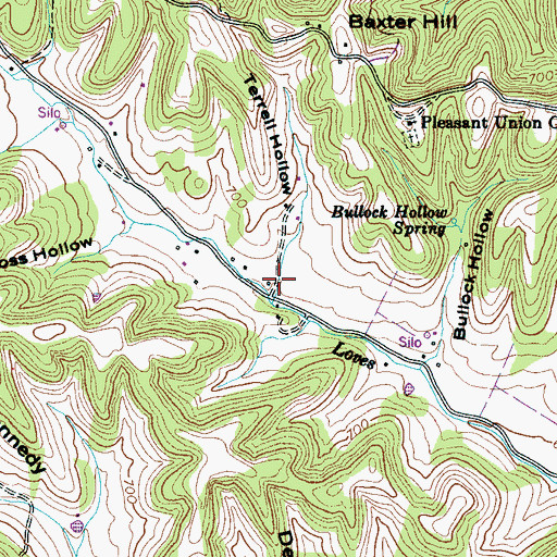 Topographic Map of Terrell Hollow, TN
