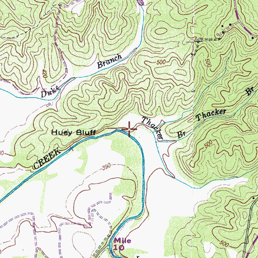 Topographic Map of Thacker Branch, TN