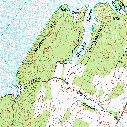 Topographic Map of Thatch Branch, TN
