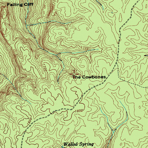 Topographic Map of The Cowbones, TN
