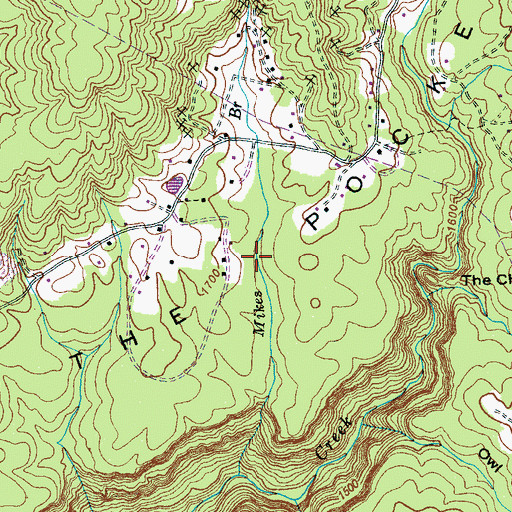 Topographic Map of The Pocket, TN