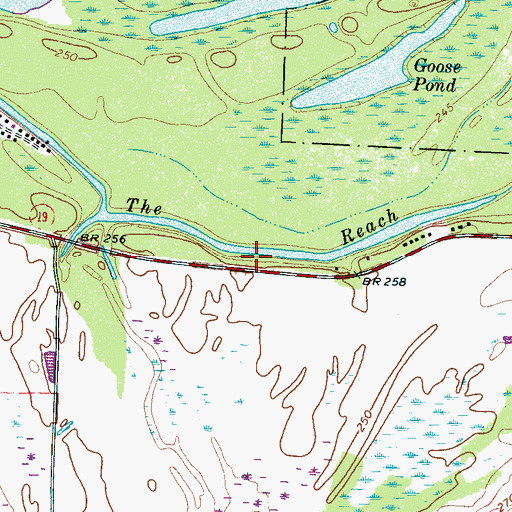 Topographic Map of The Reach, TN