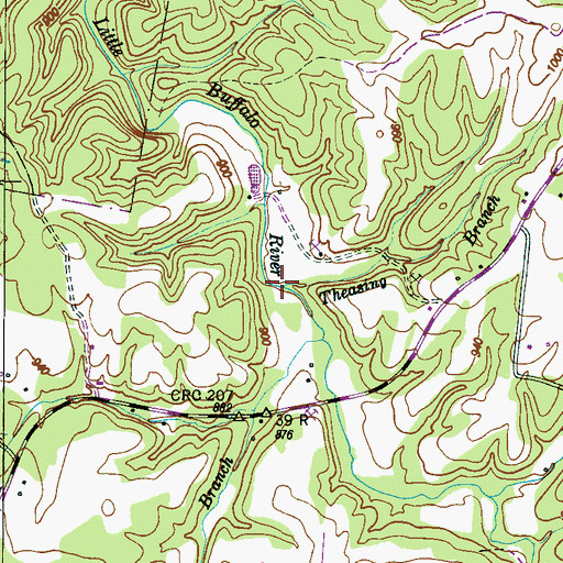 Topographic Map of Theasing Branch, TN