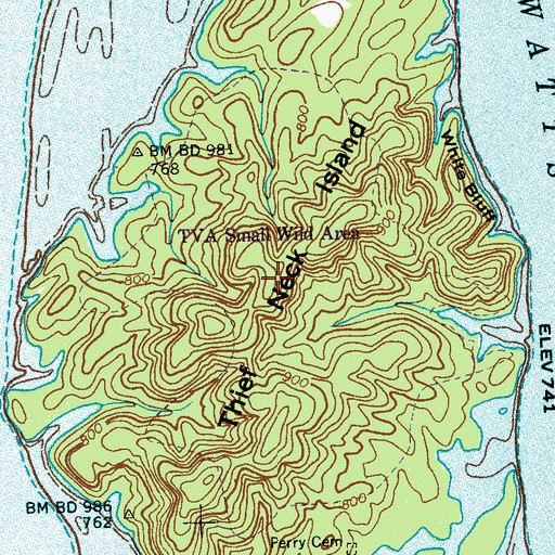 Topographic Map of Thief Neck Island, TN