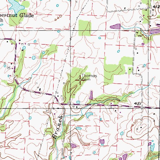 Topographic Map of Thomas Cemetery, TN
