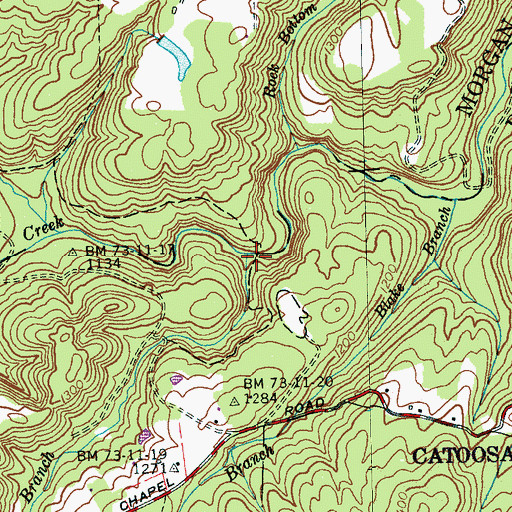 Topographic Map of Thornburg Branch, TN