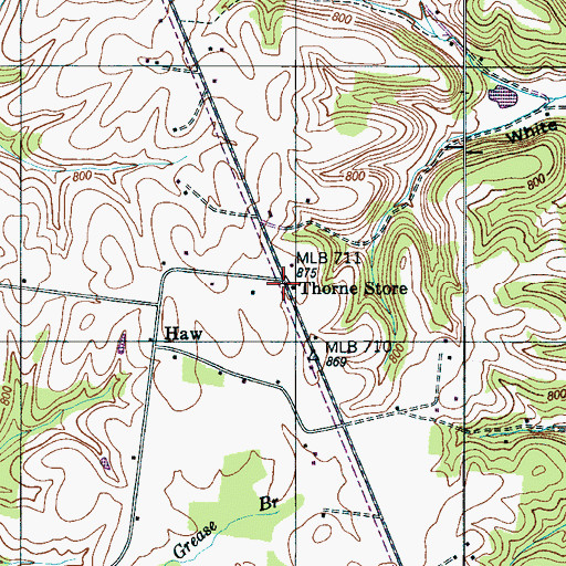 Topographic Map of Thorne Store, TN