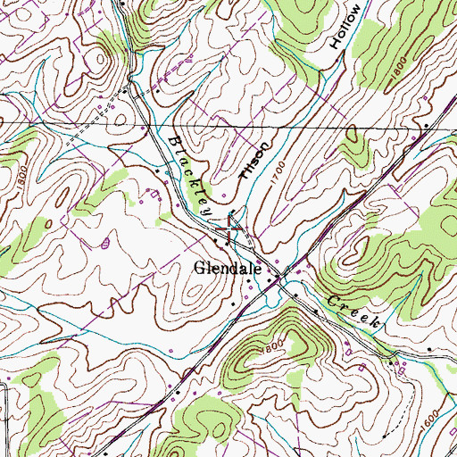 Topographic Map of Tilson Hollow, TN