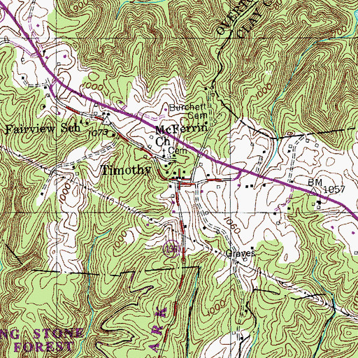 Topographic Map of Timothy, TN