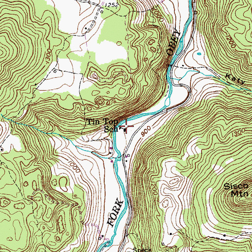 Topographic Map of Tin Top School, TN