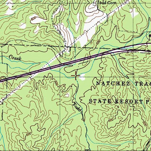 Topographic Map of Todd Branch, TN