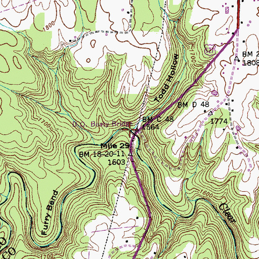 Topographic Map of Todd Hollow, TN