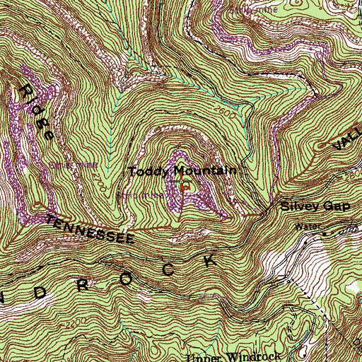 Topographic Map of Toddy Mountain, TN