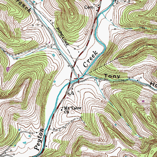 Topographic Map of Toetown Branch, TN