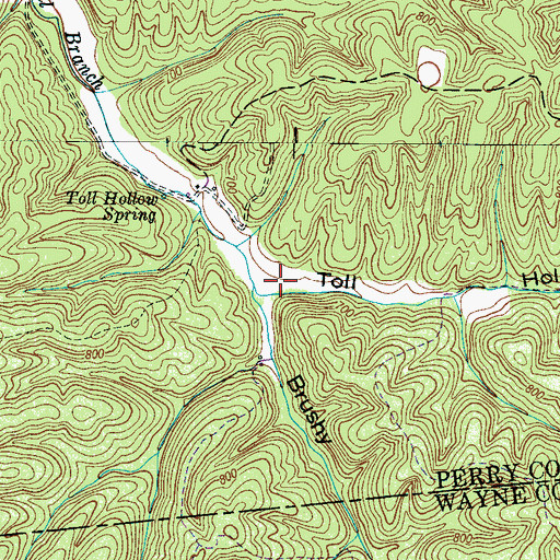 Topographic Map of Toll Hollow, TN