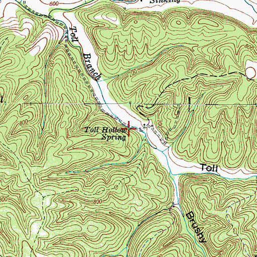 Topographic Map of Toll Hollow Spring, TN