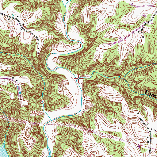Topographic Map of Tom Hollow, TN