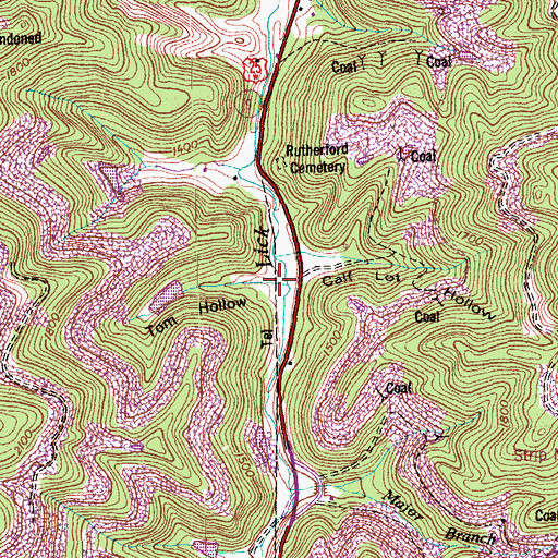 Topographic Map of Tom Hollow, TN