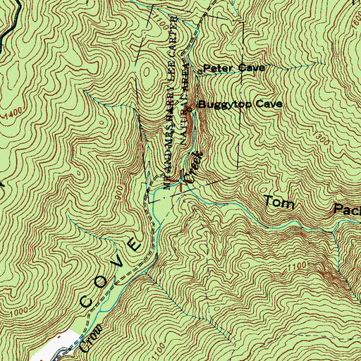 Topographic Map of Tom Pack Hollow, TN
