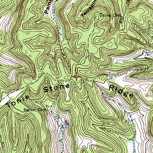 Topographic Map of Tonie Stone Ridge, TN
