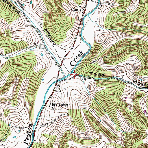 Topographic Map of Tony Hollow, TN