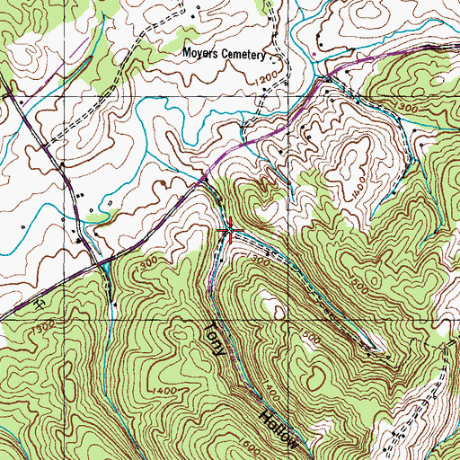 Topographic Map of Tony Hollow, TN