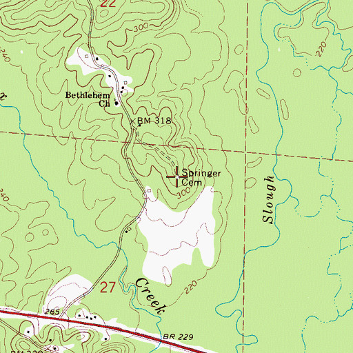 Topographic Map of Springer Cemetery, AL