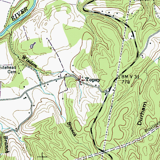 Topographic Map of Topsy, TN
