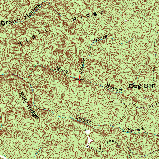 Topographic Map of Trestle Branch, TN