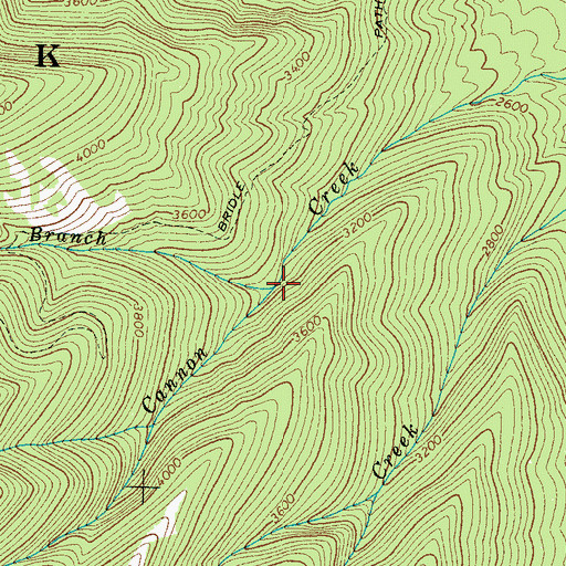 Topographic Map of Trillium Branch, TN