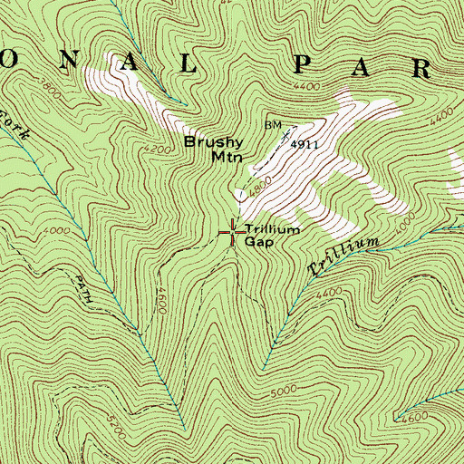Topographic Map of Trillium Gap, TN