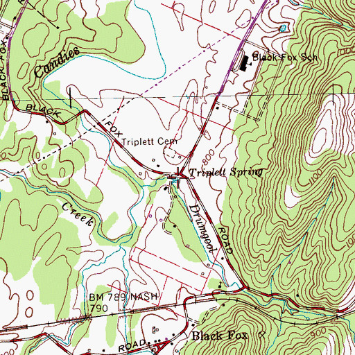 Topographic Map of Triplett Spring, TN