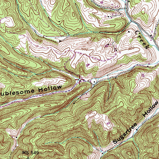 Topographic Map of Troublesome Hollow, TN