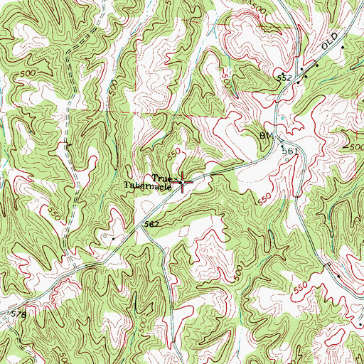 Topographic Map of True Tabernacle, TN