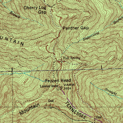 Topographic Map of Tub Spring, TN