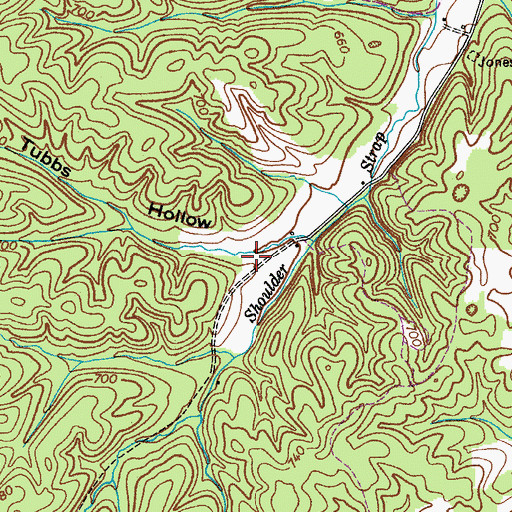 Topographic Map of Tubbs Hollow, TN