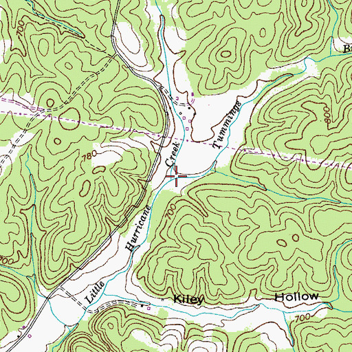 Topographic Map of Tummings Branch, TN