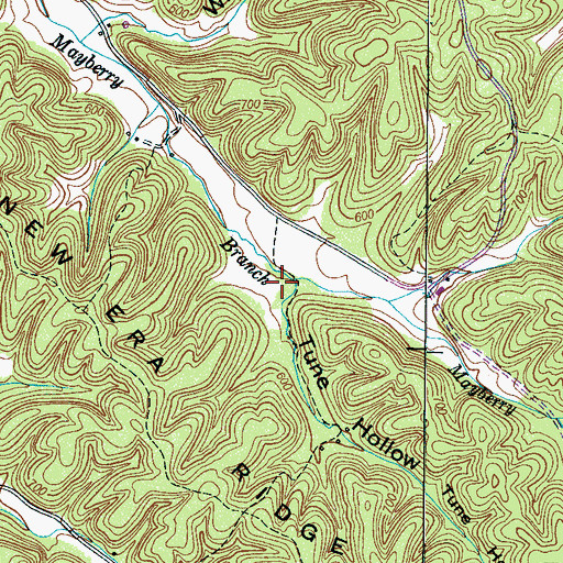 Topographic Map of Tune Hollow, TN