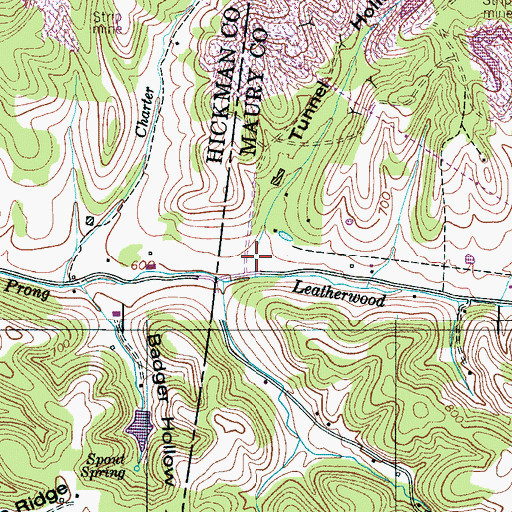 Topographic Map of Tunnel Hollow, TN