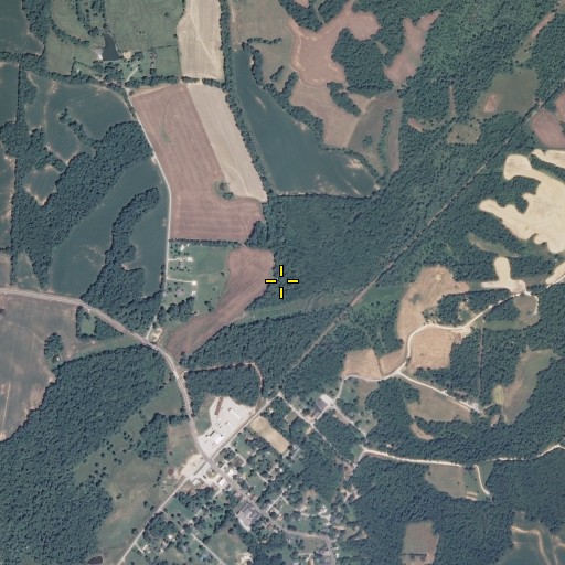 Aerial/Satellite Image of Turkey Branch, TN
