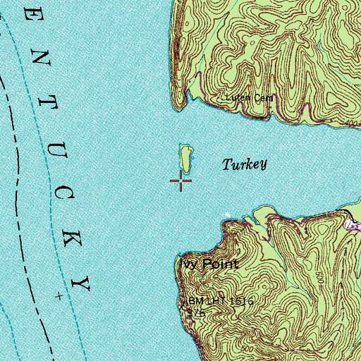 Topographic Map of Turkey Creek, TN