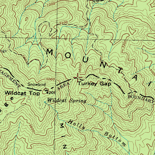 Topographic Map of Turkey Gap, TN