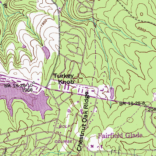 Topographic Map of Turkey Knob, TN