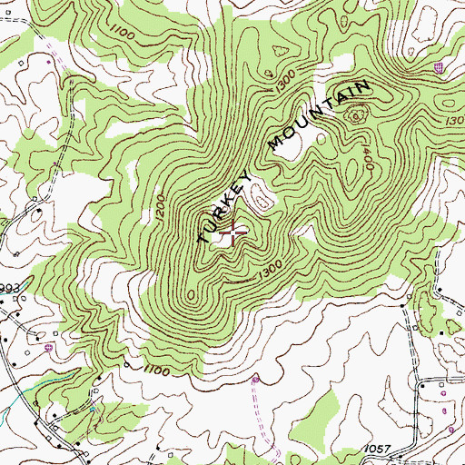 Topographic Map of Turkey Mountain, TN