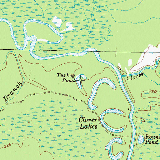 Topographic Map of Turkey Pond, TN