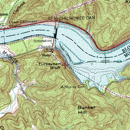Topographic Map of Turkeypen Bluff, TN