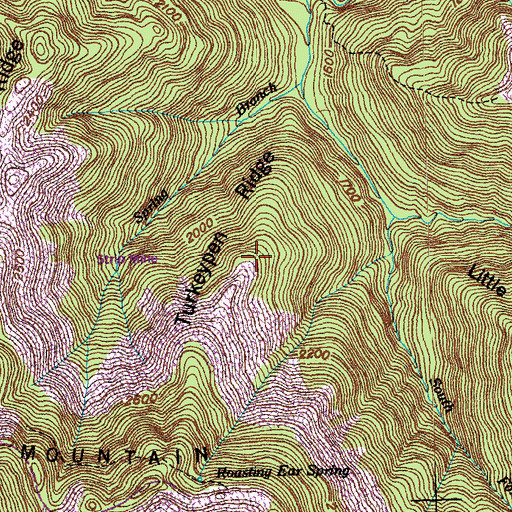 Topographic Map of Turkeypen Ridge, TN