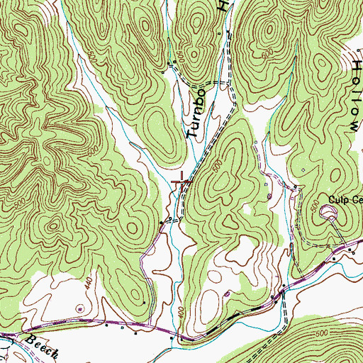 Topographic Map of Turnbo Hollow, TN