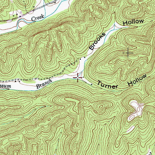 Topographic Map of Turner Hollow, TN