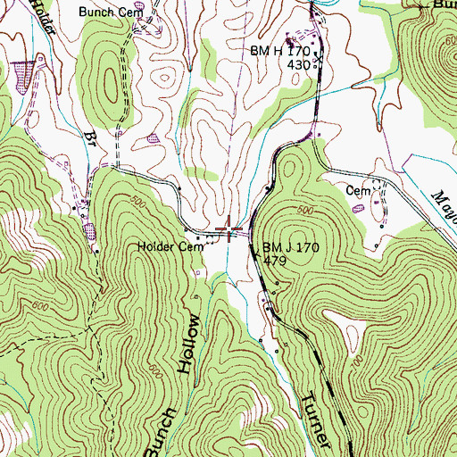 Topographic Map of Turner Hollow, TN